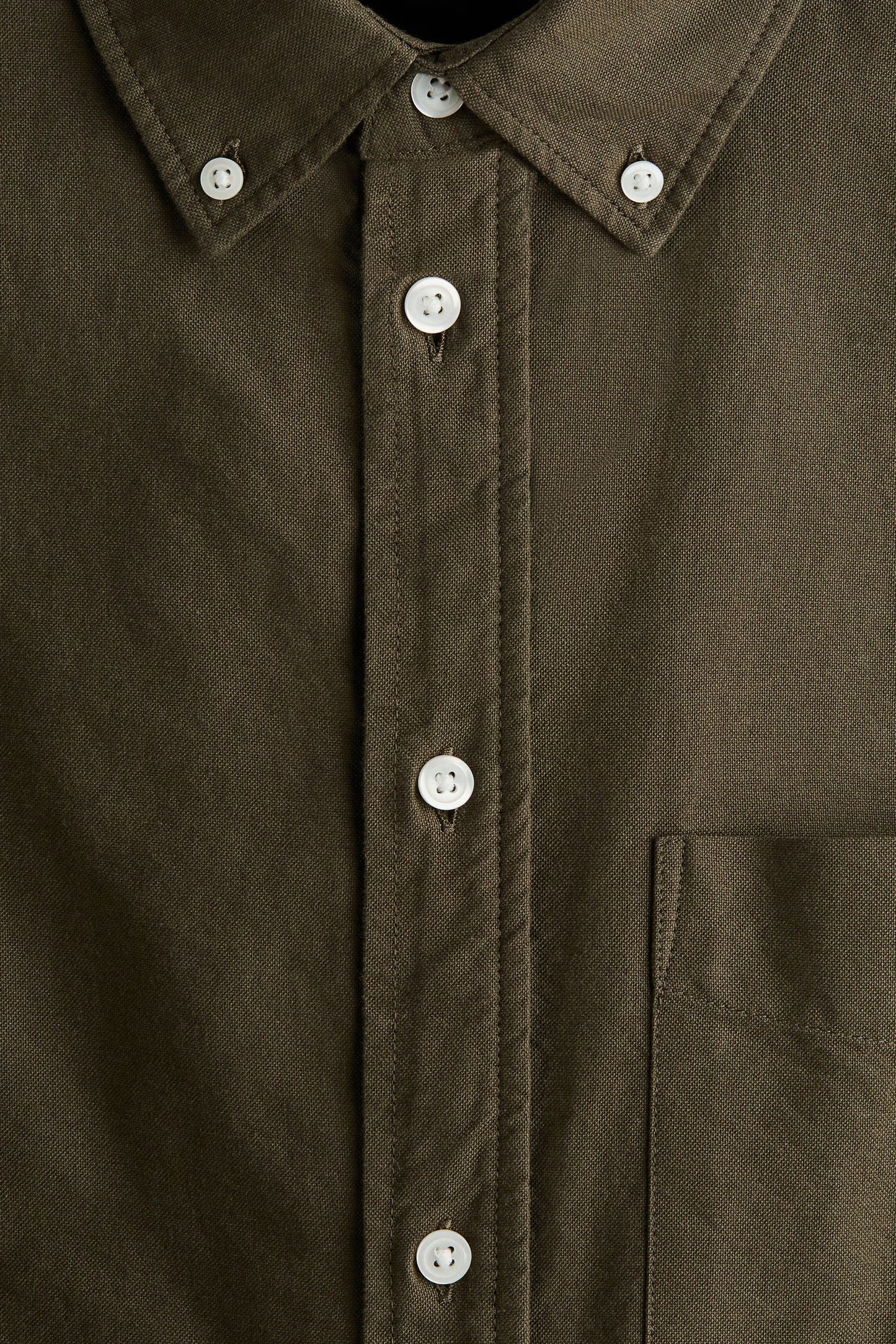 Regular Fit Oxford Shirt (Olive)